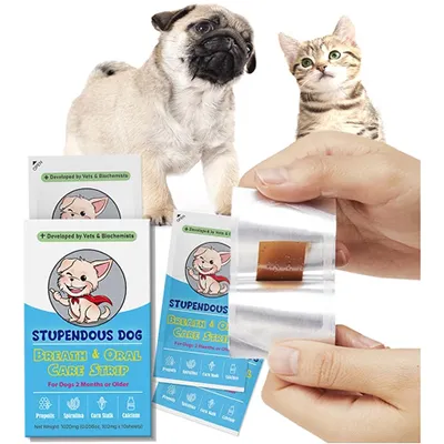 Машина для нанесения покрытия на пероральные тонкие пленки для питания домашних животных